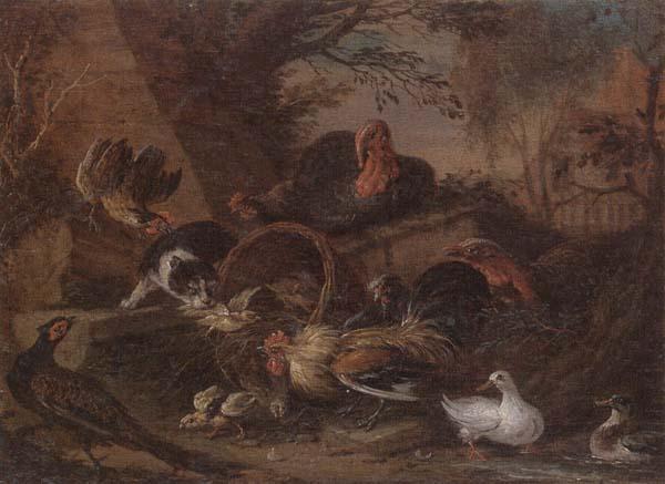 unknow artist Still life of fowl in a farmyard,with a cat stealing a bantam chick France oil painting art